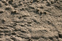 Sand gewaschen 0/2 für Fürth bestellen