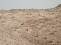 gewaschener Sand 0-2 mm für Ostholstein bestellen