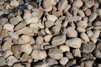 Steine, Findlinge 70-120 für Traunstein bestellen