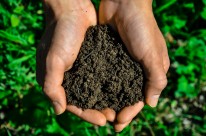 Kompost-Humusgemisch 0-15 mm für Nürnberger Land bestellen