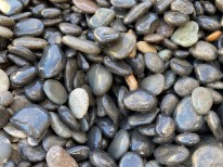 Rundkies Beach Pebbles für Koblenz bestellen