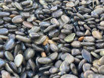 Rundkies Beach Pebbles für Cochem-Zell bestellen